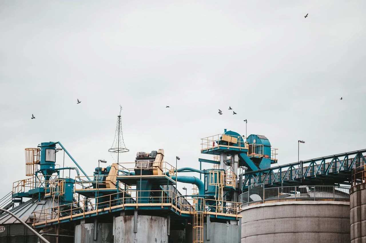 Go For Western Economy With These Pioneering blog8